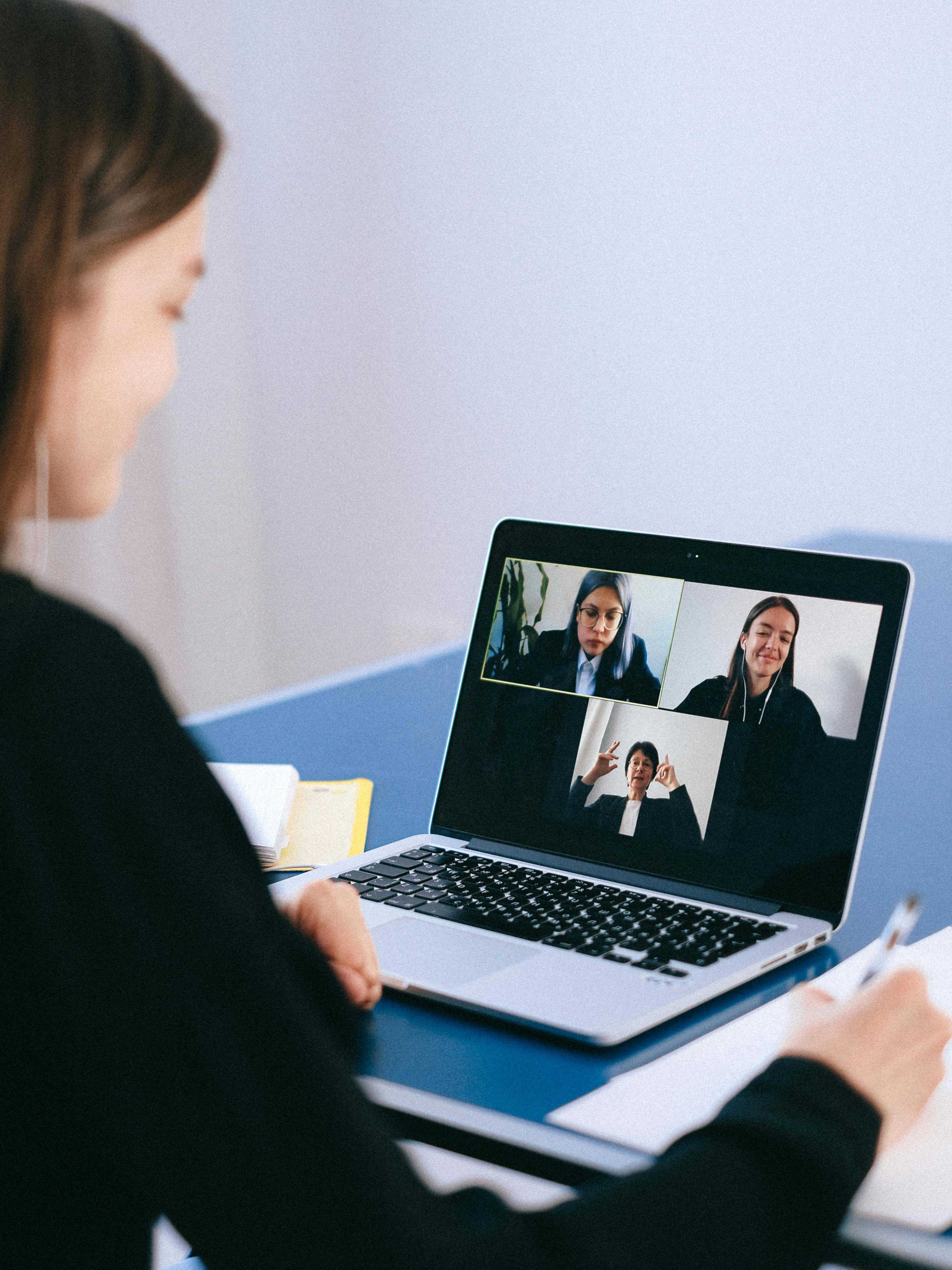 TM accessible video meeting interface
